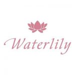 Water lily 