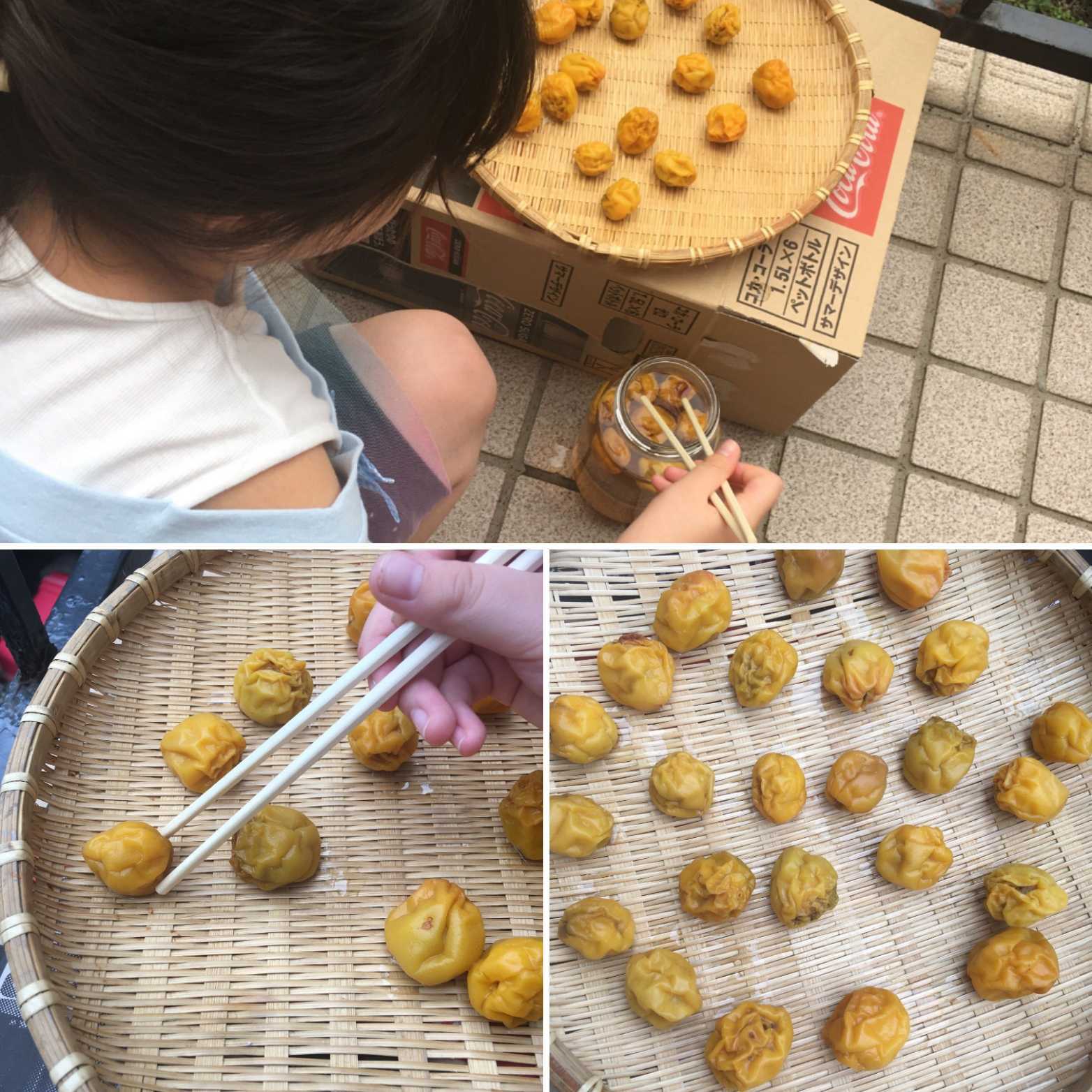 梅干し３